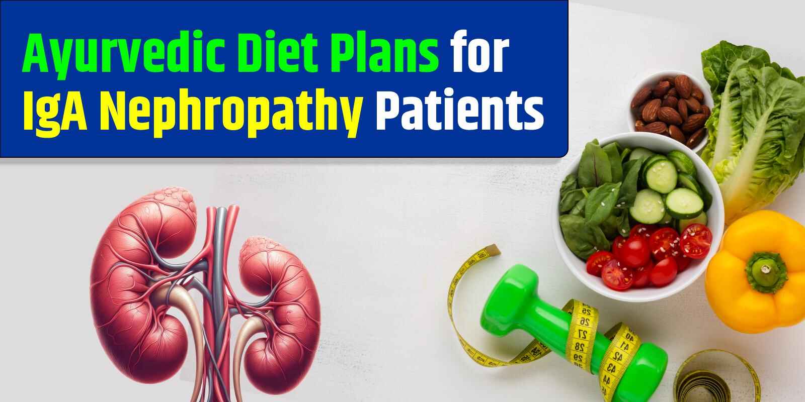 Ayurvedic Diet Plans for IgA Nephropathy Patients